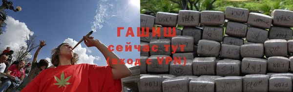 сатива Лабытнанги