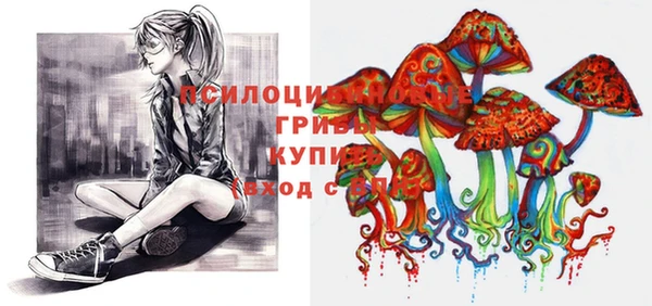 кристаллы Покровск