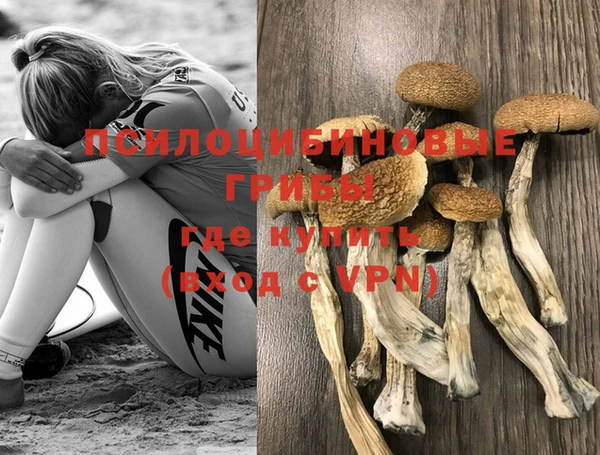 MDMA Premium VHQ Мамадыш