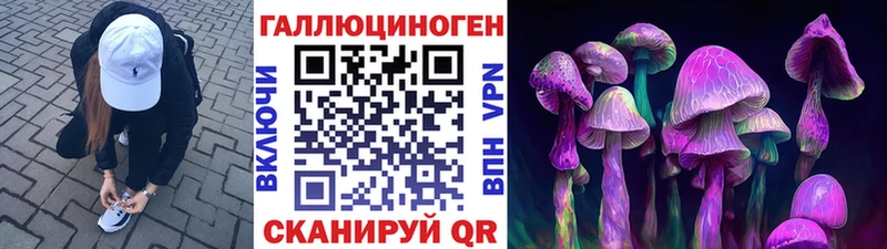 Псилоцибиновые грибы Psilocybine cubensis  Льгов 